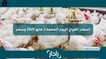 أسعار الفراخ اليوم الجمعة 2 مايو 2025.. تعرف على بورصة الدواجن وكرتونة البيض بالتفصيل